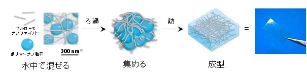 図：透明なセルロースナノファイバー/プラスチック複合フィルムの調製方法