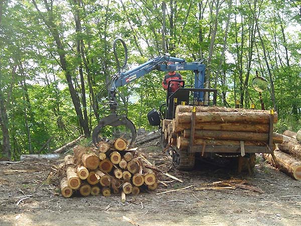 写真：グラップルローダを使用した丸太の積み込み作業
