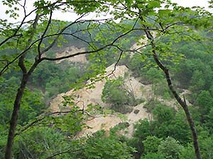 写真1：2008年岩手・宮城内陸地震によって発生した山崩れ
