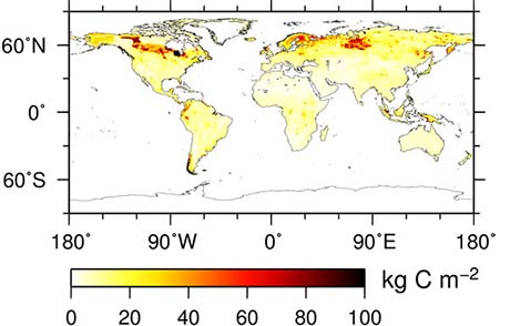 図1：観測データに基づいた地球上の土壌炭素分布の推定例