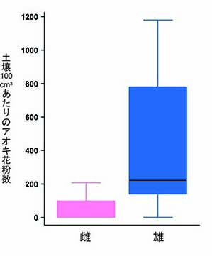 図：アオキの雌および雄個体直下の土壌中に含まれていたアオキ花粉数