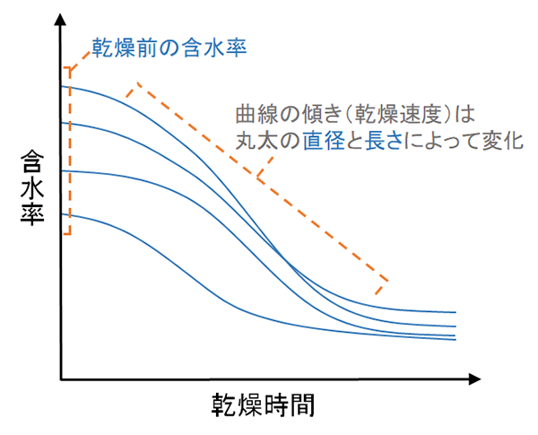 図：丸太の含水率変化の模式図とそのモデル化