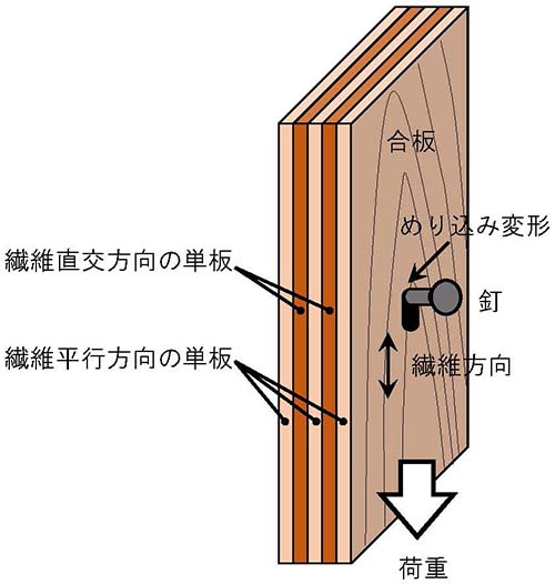 図1：合板の釘接合部にめり込み変形が生じている様子