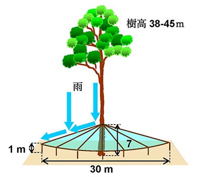 図1：雨水遮断実験の装置