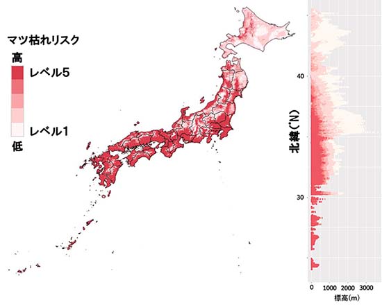 図1：マツ枯れリスク域の水平分布と垂直分布