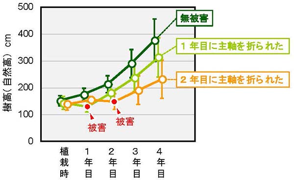 図3 植栽から4年目までの樹高成長