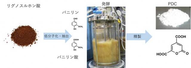 図：木材パルプの製造排液に含まれるリグノスルホン酸からPDCへの変換