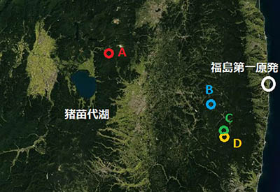 図1：調査地