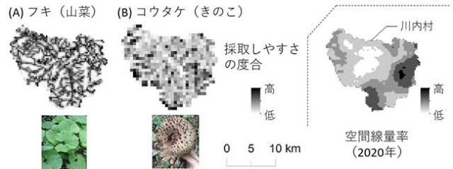 図1：川内村における原発事故前の採取適地の推定図