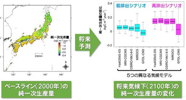 図-1：スギ人工林の純一次生産量とその変化の将来予測