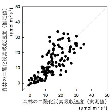 図：森林の二酸化炭素吸収速度の実測値と推定値との関係