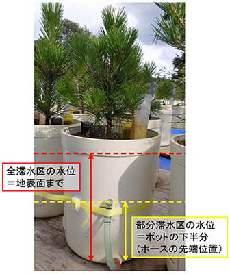 写真1：全滞水区と部分滞水区の水位について