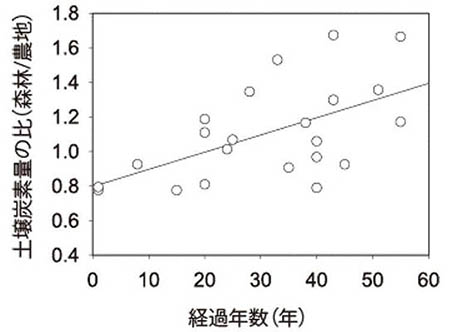 図：農地が森林に変化してからの経過時間と土壌炭素量の比の関係