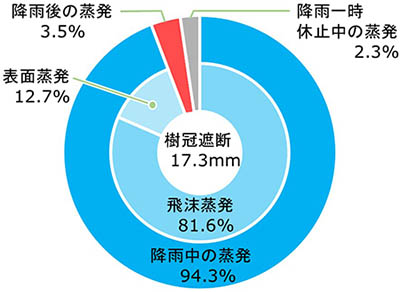 図：樹冠遮断の内訳