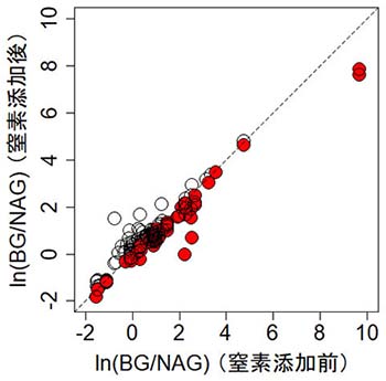 図2 BG/NAGに対する窒素添加の影響