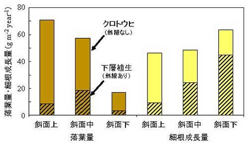 図1：クロトウヒおよび下層植生の落葉量と細根成長量