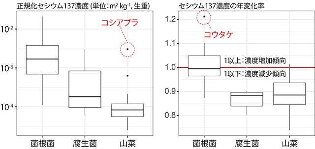 図：きのこ・山菜の区分ごとに示した種の濃度特性値（左）とセシウム137濃度の年変化率（右）
