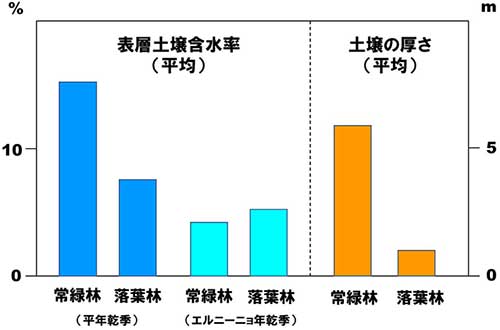 図 表層土壌含水率と土壌の厚さの違い