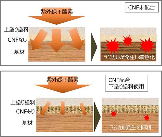図：CNF配合下塗り塗料で塗装した木製品の変色抑制メカニズム