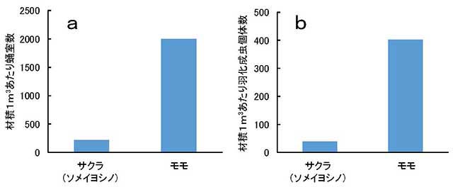 図：被害丸太内のクビアカツヤカミキリの蛹室数と成虫個体数
