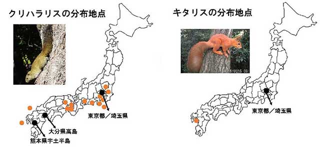 図 日本における外来リス2種の分布地点