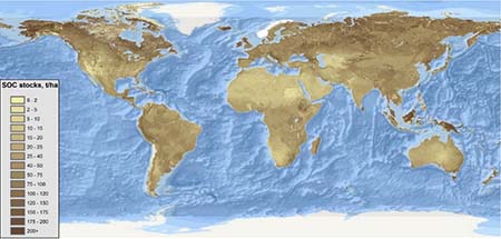 図：各国のデータを基に作成された世界の土壌炭素蓄積量マップ