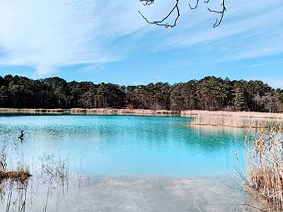 写真1：自然観察 五色沼自然探勝路