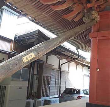 写真3 つっかい棒のように金堂を支えていた木製電柱