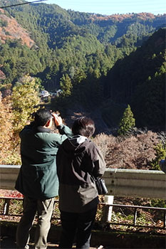 写真1：冬のお花見