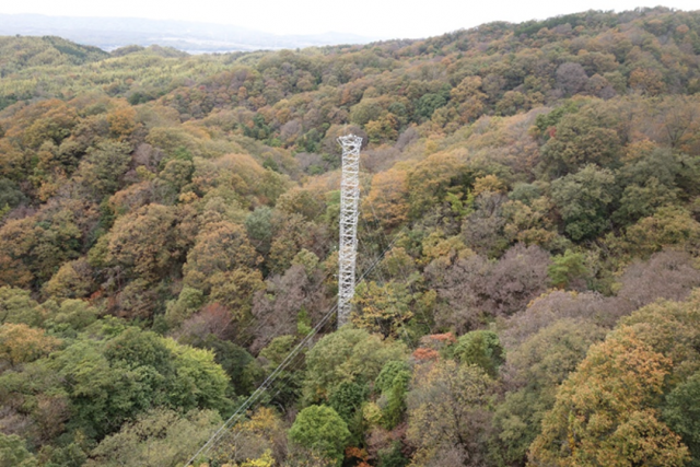 京都、山城サイトのフラックスタワー