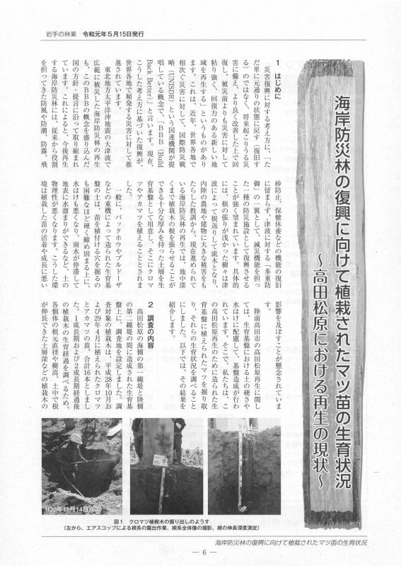 海岸防災林の復興に向けて植栽されたマツ苗の生育状況～髙田松原における再生の現状～