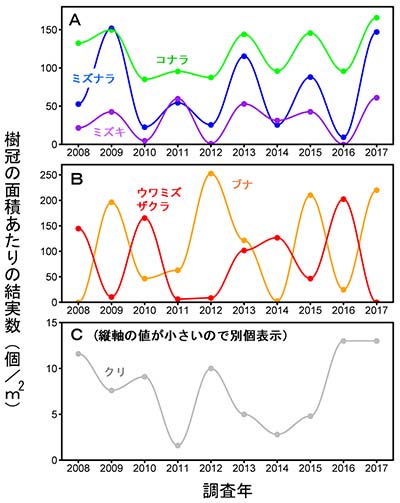 樹木の結実は地域の中でむらがある