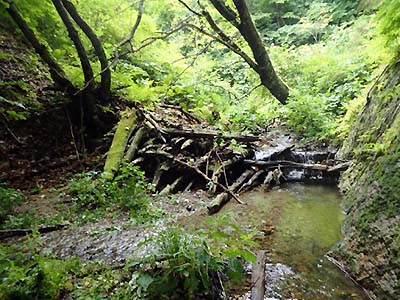 坪毛沢木堰堤群