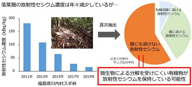 森に降った放射性セシウムの一部は落葉層の有機物に強く保持されている