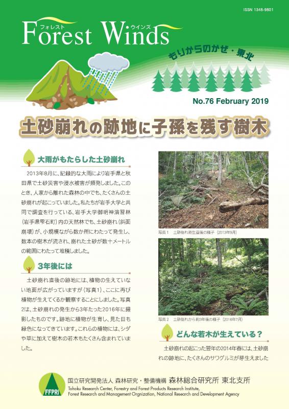 土砂崩れの跡地に子孫を残す樹木