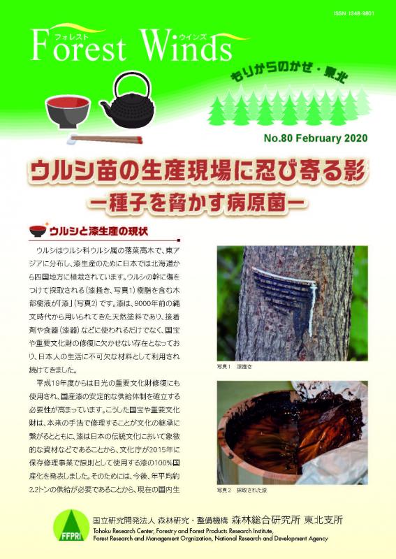 ウルシ苗の生産現場に忍び寄る影－種子を脅かす病原菌－