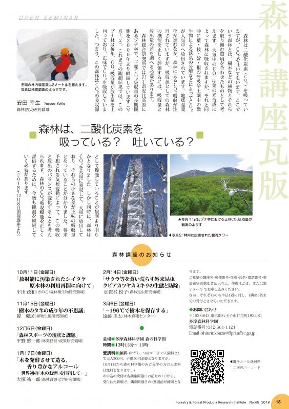 森林は、二酸化炭素を吸っている？吐いている？