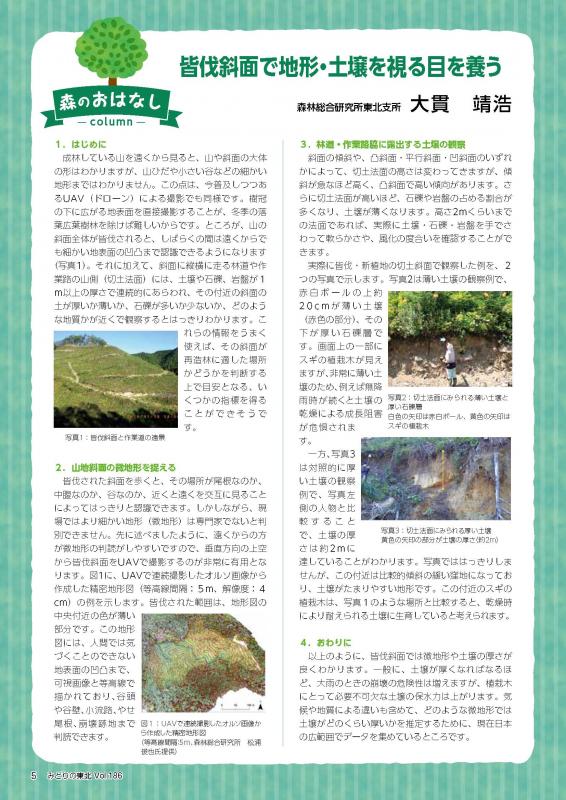伐斜面で地形・土壌を視る目を養う