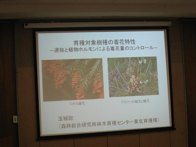 育種対象樹種の着花特性について-2
