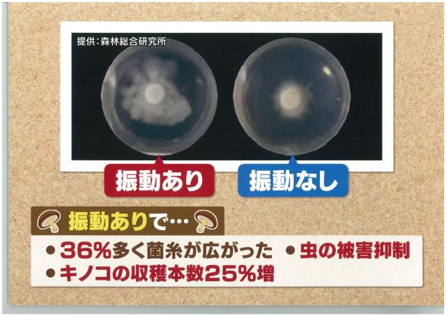 20240220_放送で使用したパネル