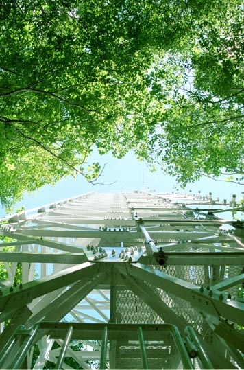 観測タワー夏2