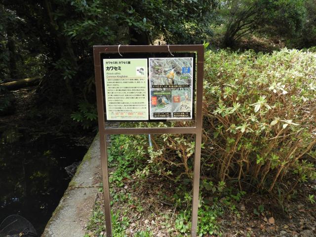 野鳥観察ポイント