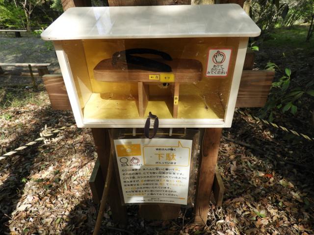 森の展示室2