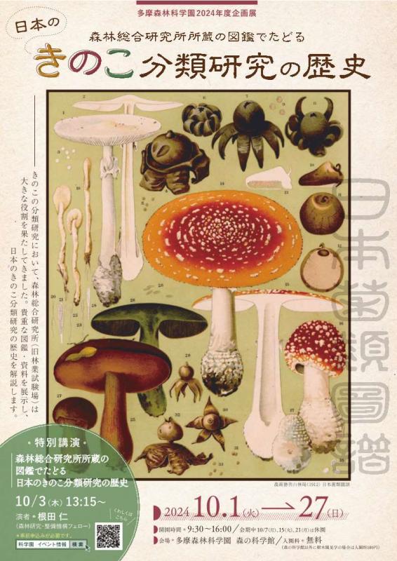 きのこのチラシ