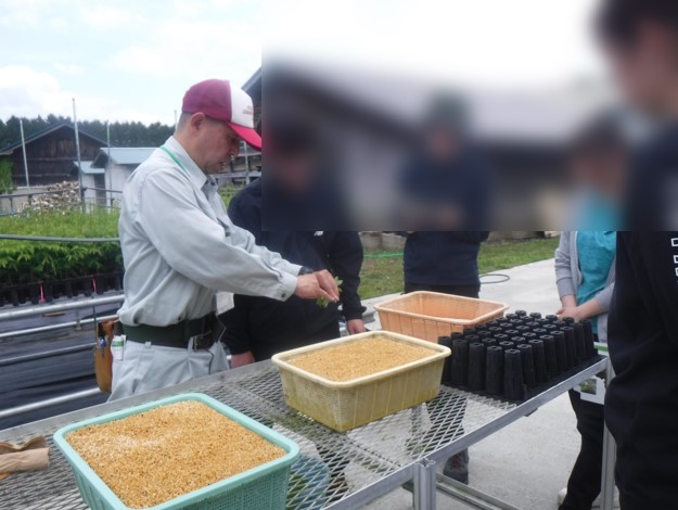 さし木の実技指導