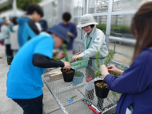 つぎ木実技指導