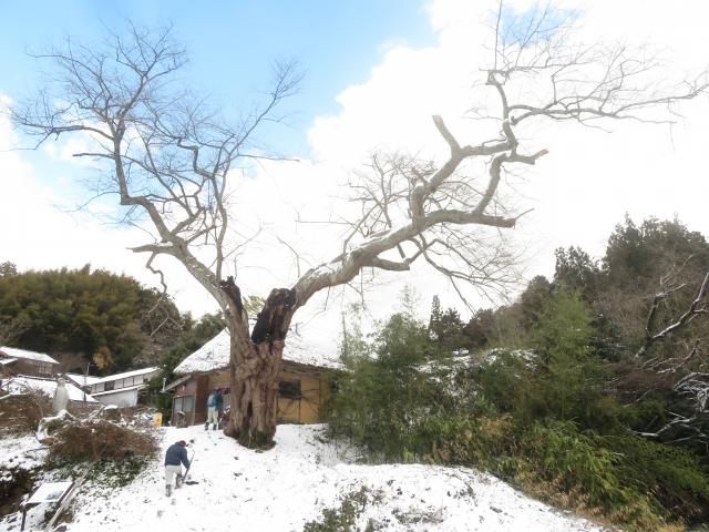 houjyoubounoedohigan_zenkei