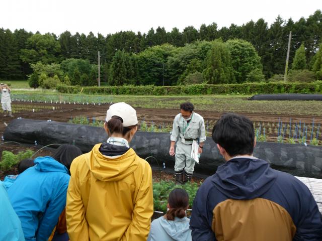 20240530_naehatasetsumei