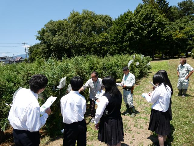 20240620_ouujigyojyoannai